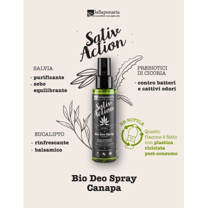Deodorante bio con salvia, prebiotici di cicoria ed eucalipto