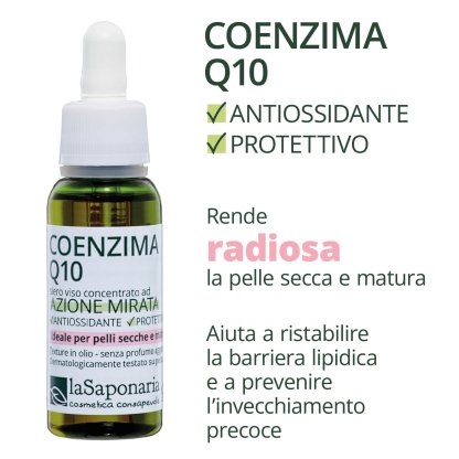 Coenzima Q10