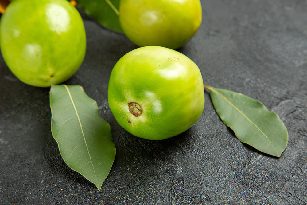 Amla