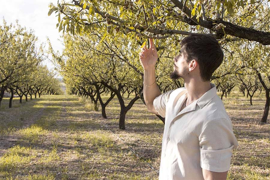 FATTORIA DELLA MANDORLA