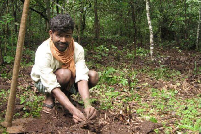 prodotti cosmetici sostenibili la saponaria filiera etica prodotti sostenibili la saponaria