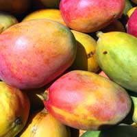 Burro Di Mango