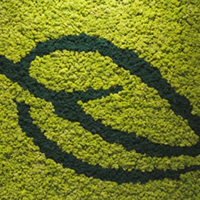 Società Benefit La Saponaria