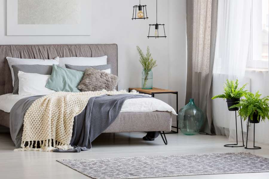 Strutture Ricettive La Saponaria