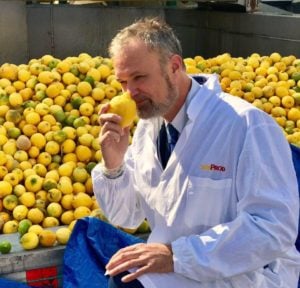 Sunprod Arancio Mandarino Limone 1 300x288